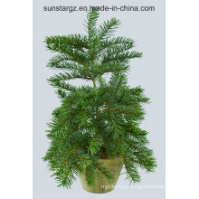 PE Nordmann Fir Tree Artificial Plant for Christmas Decoration (43375)